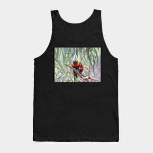 Rainbow Lorikeets Tank Top